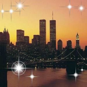 Meet your Posher, Luis